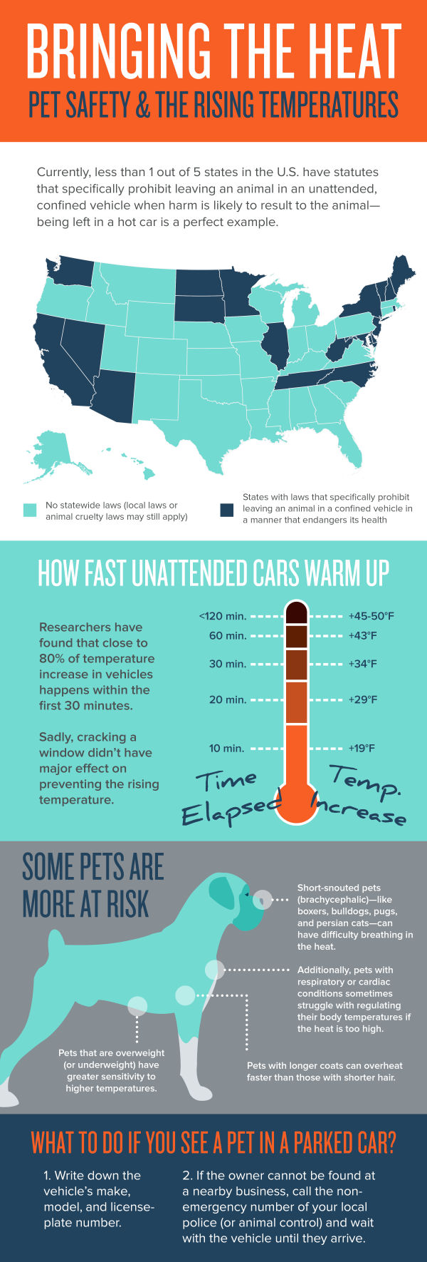 Hot Car Law Blog Post